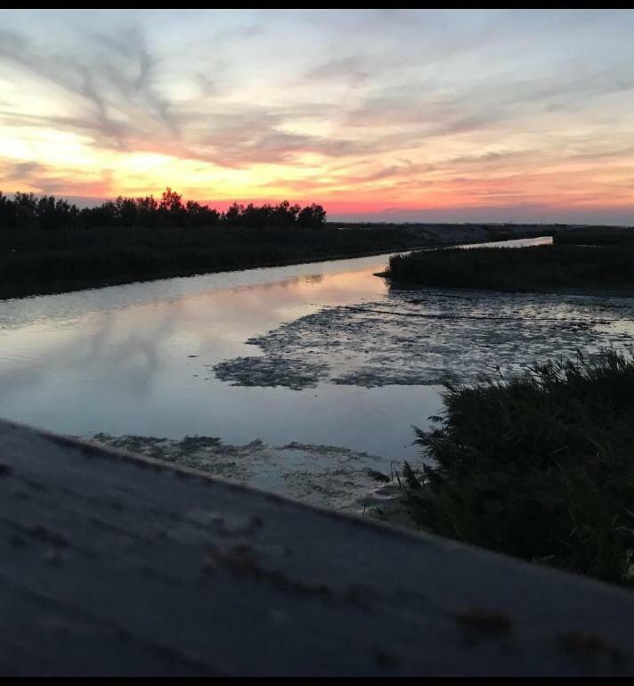 Agriturismo Ca' Pisani Βίλα Porto Viro Εξωτερικό φωτογραφία